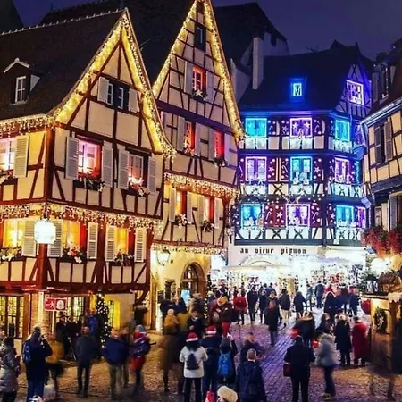 Grands Avec Parking Proche Centre Colmar